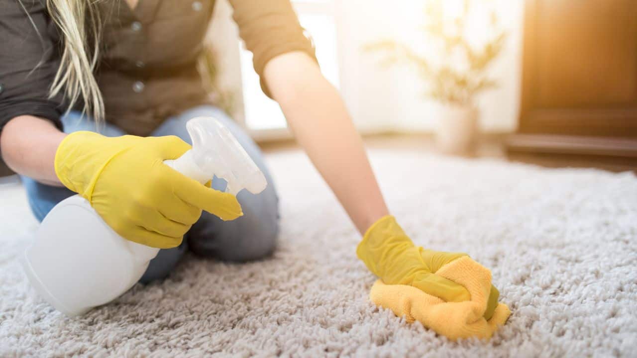 How to Clean Pee Stains Out of Carpet