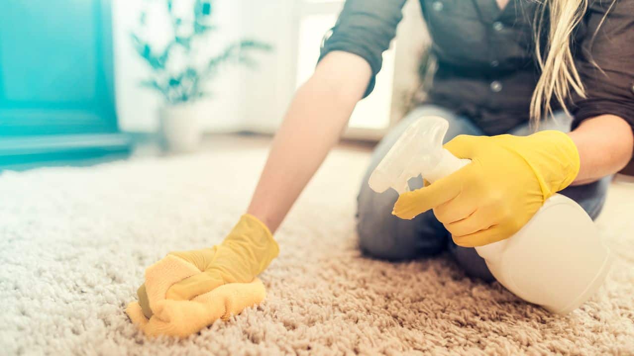 How to use vinegar to clean your carpets