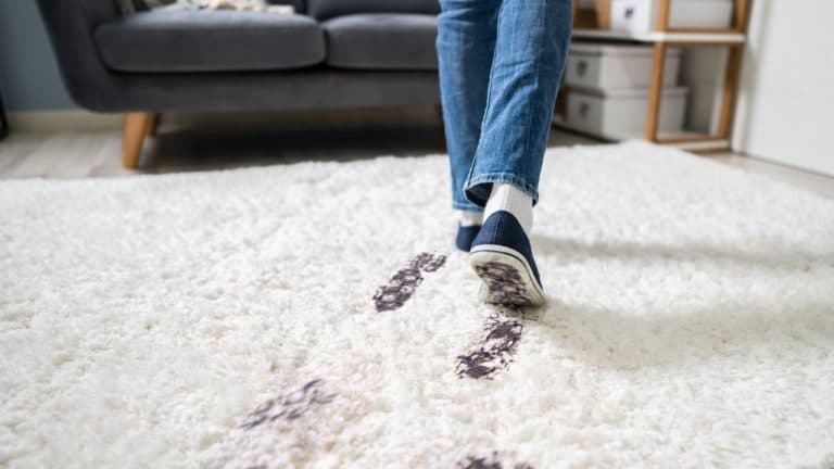 How to Clean High Traffic Carpet Areas