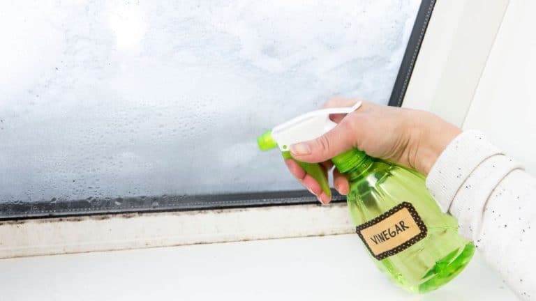 10 Great Ways to Use Vinegar for Household Cleaning